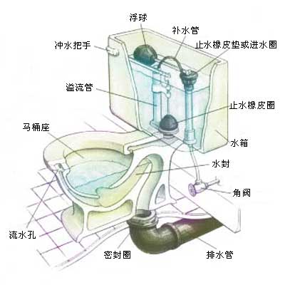 座便器结构图解析